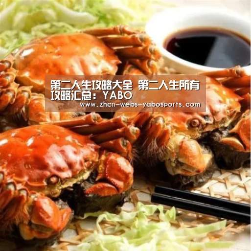 第二人生攻略大全 第二人生所有攻略汇总:YABO(图3) 亚博官方网站